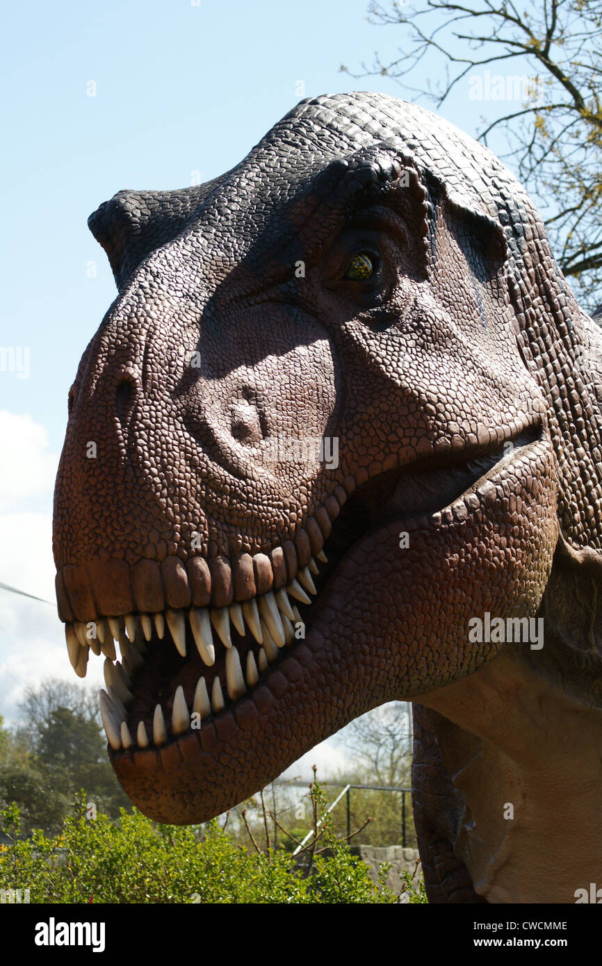 Tyrannosaurus Rex ein räuberischer Theropode Saurier, in der Kreidezeit in Nordamerika lebte Stockfoto