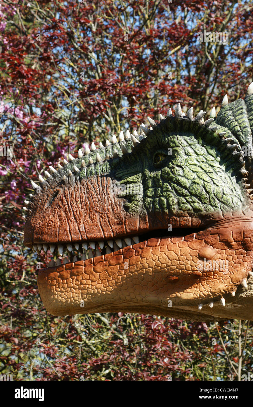 Tyrannosaurier tyrannosaurus rex -Fotos und -Bildmaterial in hoher