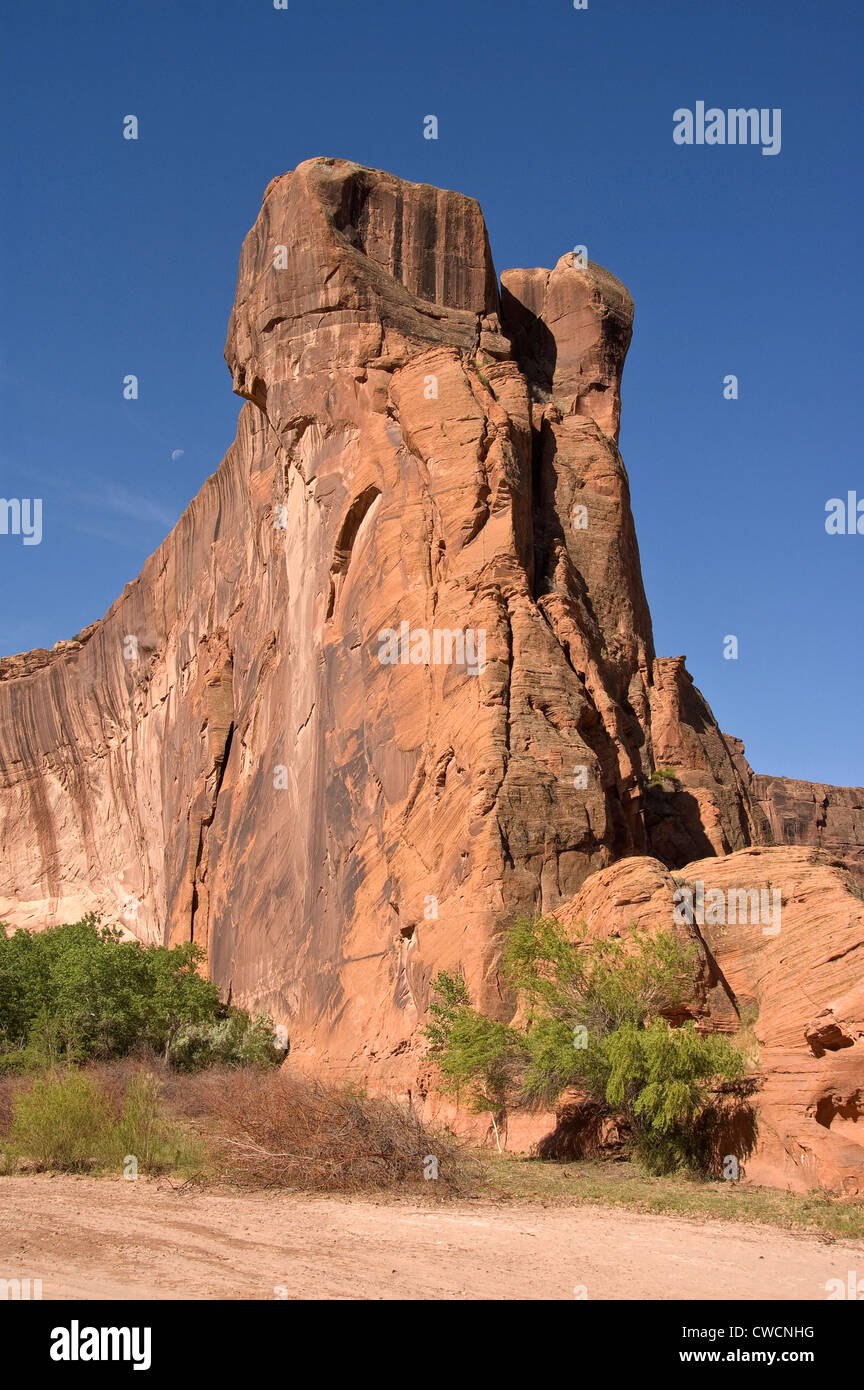 Elk288-1239v-Arizona, Canyon de Chelly Nationalmonument, Canyon del Muerto, Landschaft Stockfoto