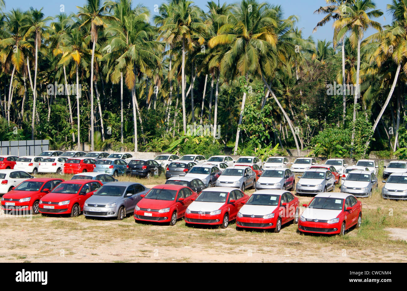 Volkswagen Autohaus in Trivandrum Stadt Kerala India.Lot des neuen Volkswagen Autos angezeigt in der Mitte des malerischen Kokosnuss Palmen Stockfoto