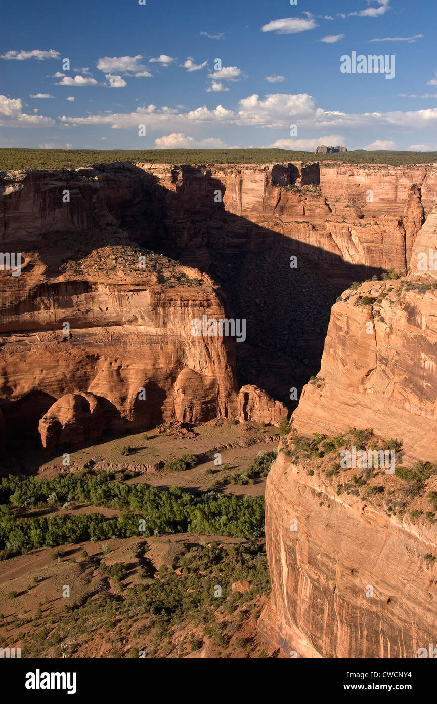 Elk288-1276v-Arizona, Canyon de Chelly Nationalmonument, Canyon de Chelly, Landschaft aus Kreuzung übersehen Stockfoto