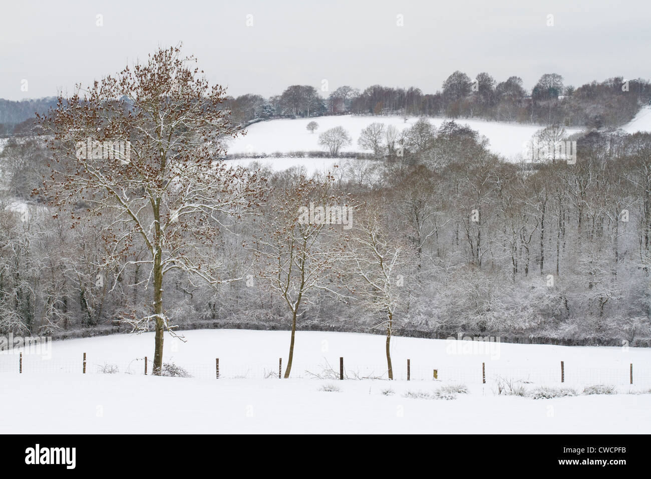 Landschaft von SUSSEX nach Schneefall, West Sussex, UK. Dezember Stockfoto