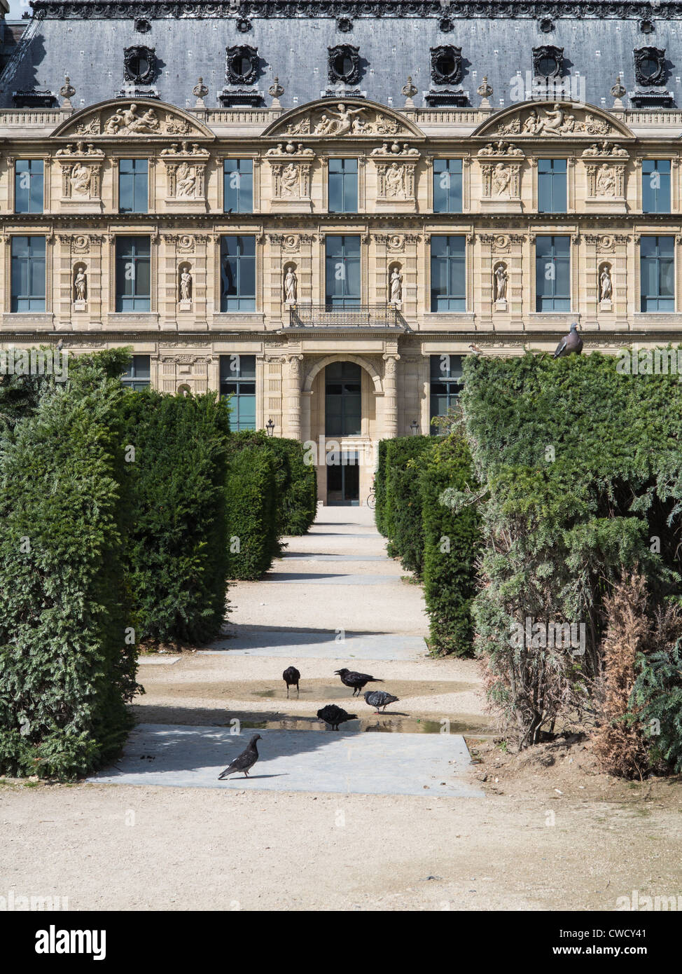 Ein Blick auf Sträuchern in der Jardin des Tuileries mit eleganten Architektur hinter und Tauben im Vordergrund. Stockfoto