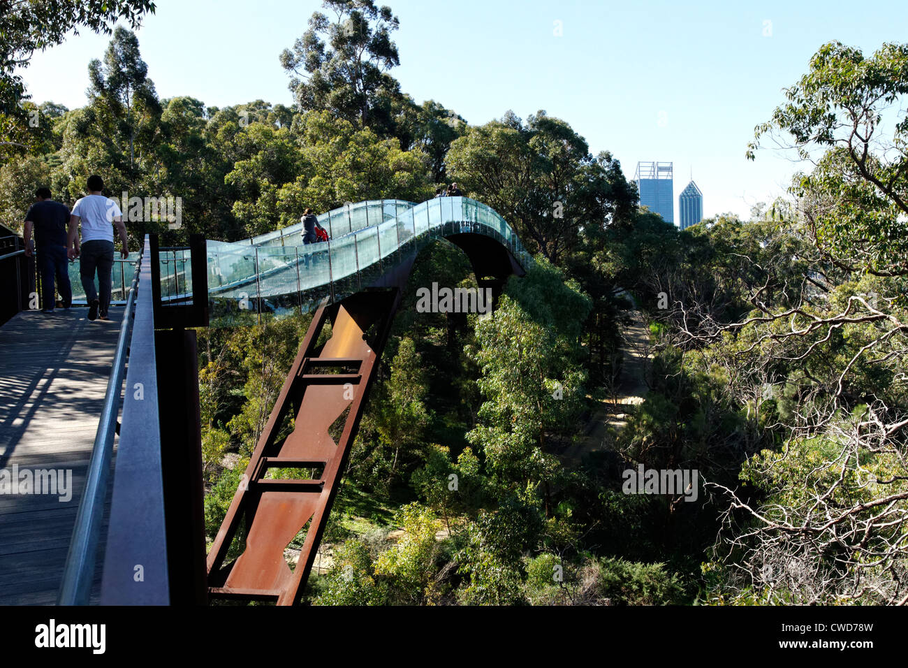 Föderation Baum Spaziergang, Kings Park, Perth, Westaustralien Stockfoto