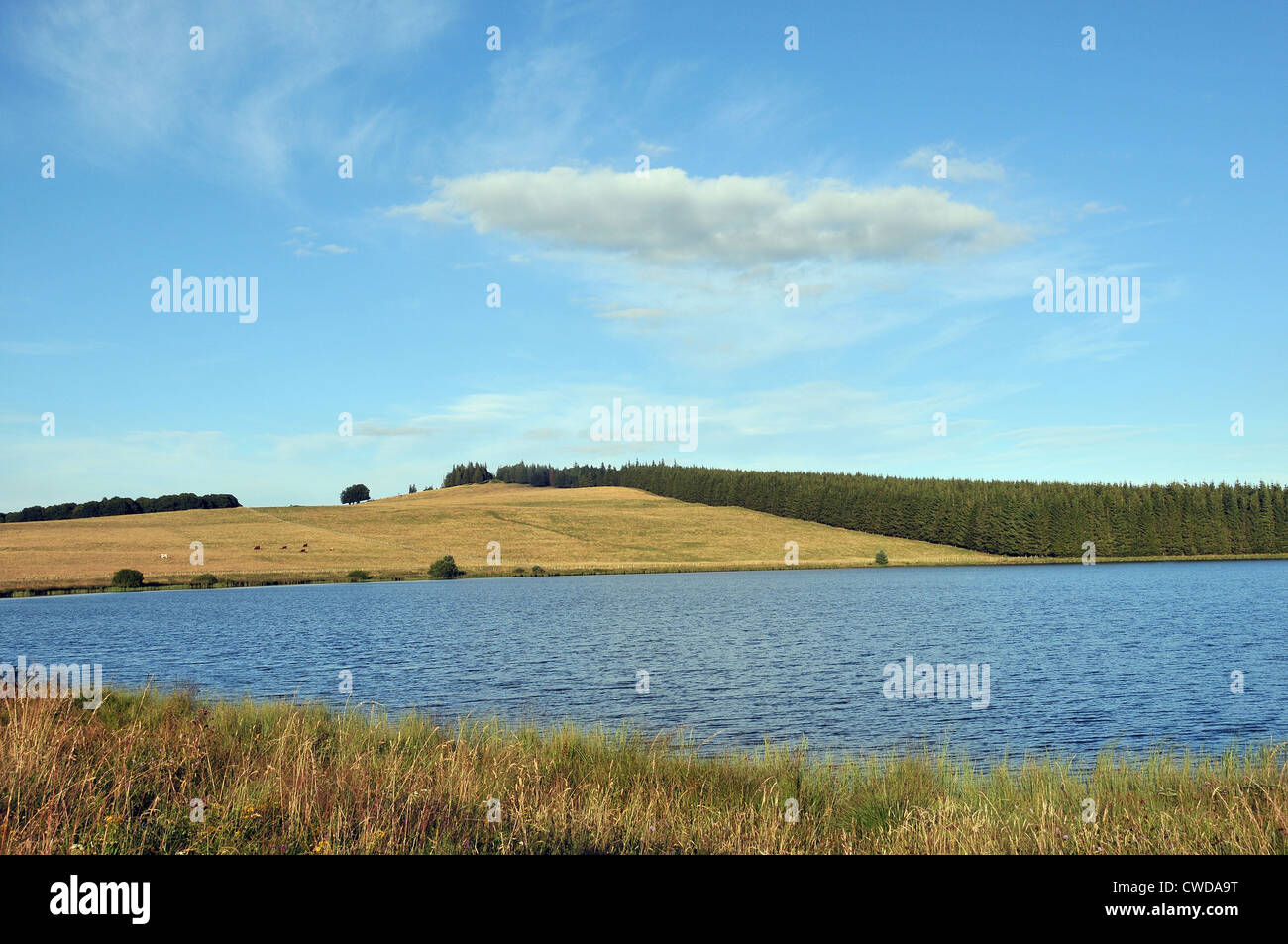 Bourdouze Lake, Cezallier, Puy de Dome, Auvergne, Massif Central, Frankreich Stockfoto