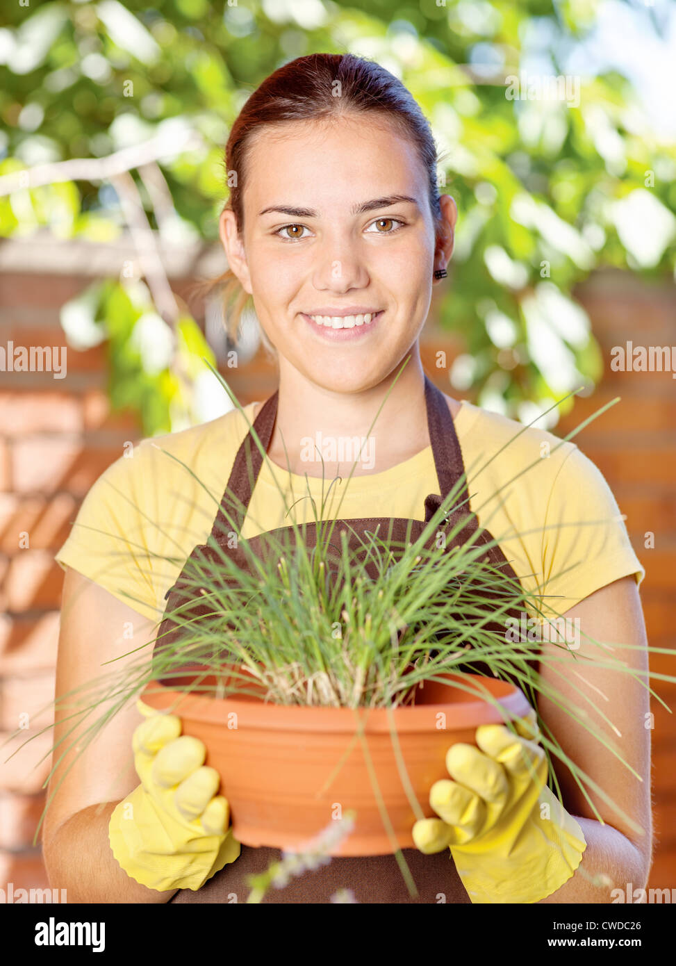 Eine junge Frau in einem Garten Arbeitsplätze an einem sonnigen Tag Stockfoto