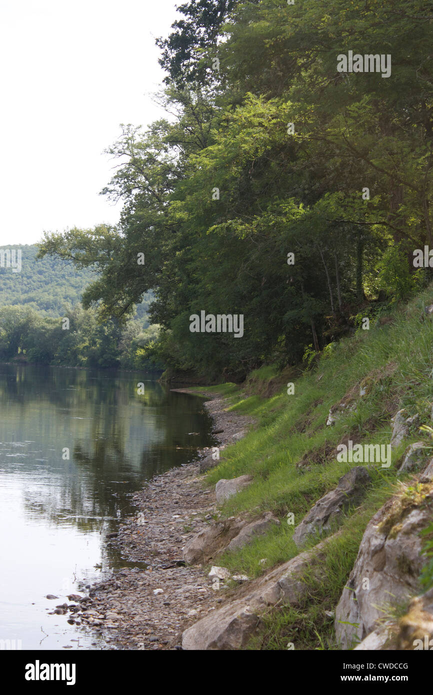 Bäume am Ufer Stockfoto