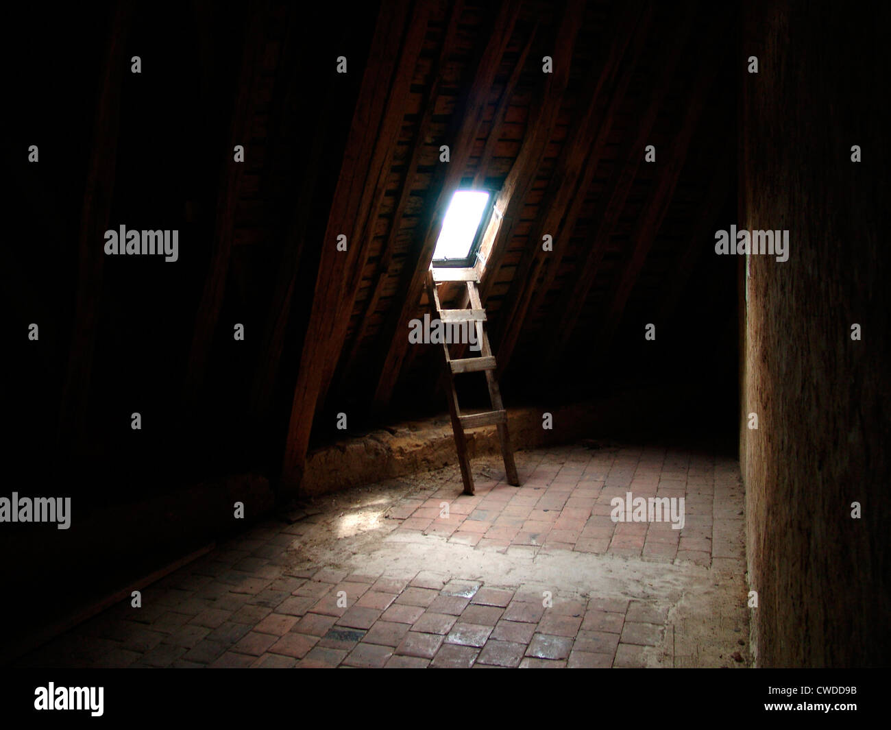 Leiter, Dachboden, Dachfenster Stockfotografie - Alamy