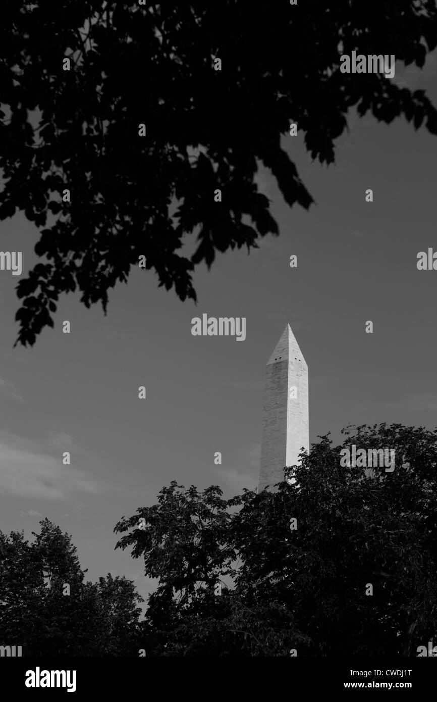 Washington Monument, Washington D.C. Stockfoto