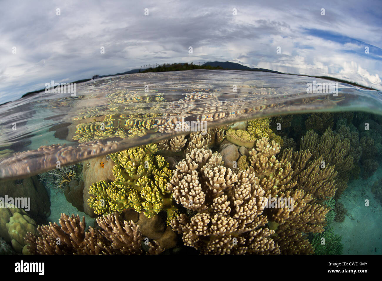 Einem vielfältigen Korallenriff wächst nur unter die Ebbe-Linie in der Nähe eine Reihe von niedrig gelegenen Inseln in einem abgelegenen Teil des Südpazifiks. Stockfoto