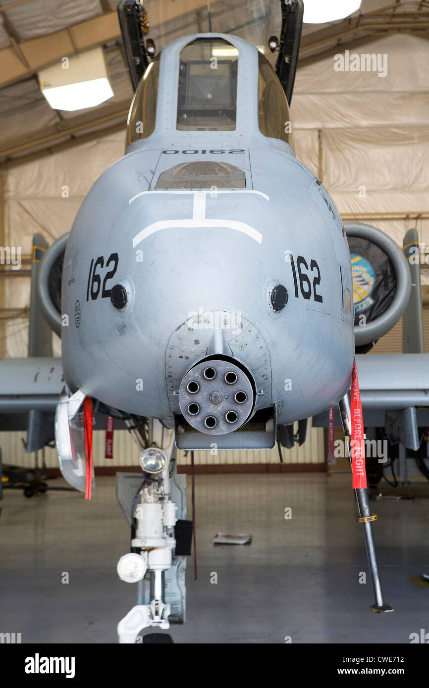 Eine a-10 Thunderbolt aus der 354. Jagdstaffel sitzt in einem Hangar in Davis-Monthan Air Force Base geparkt. Stockfoto