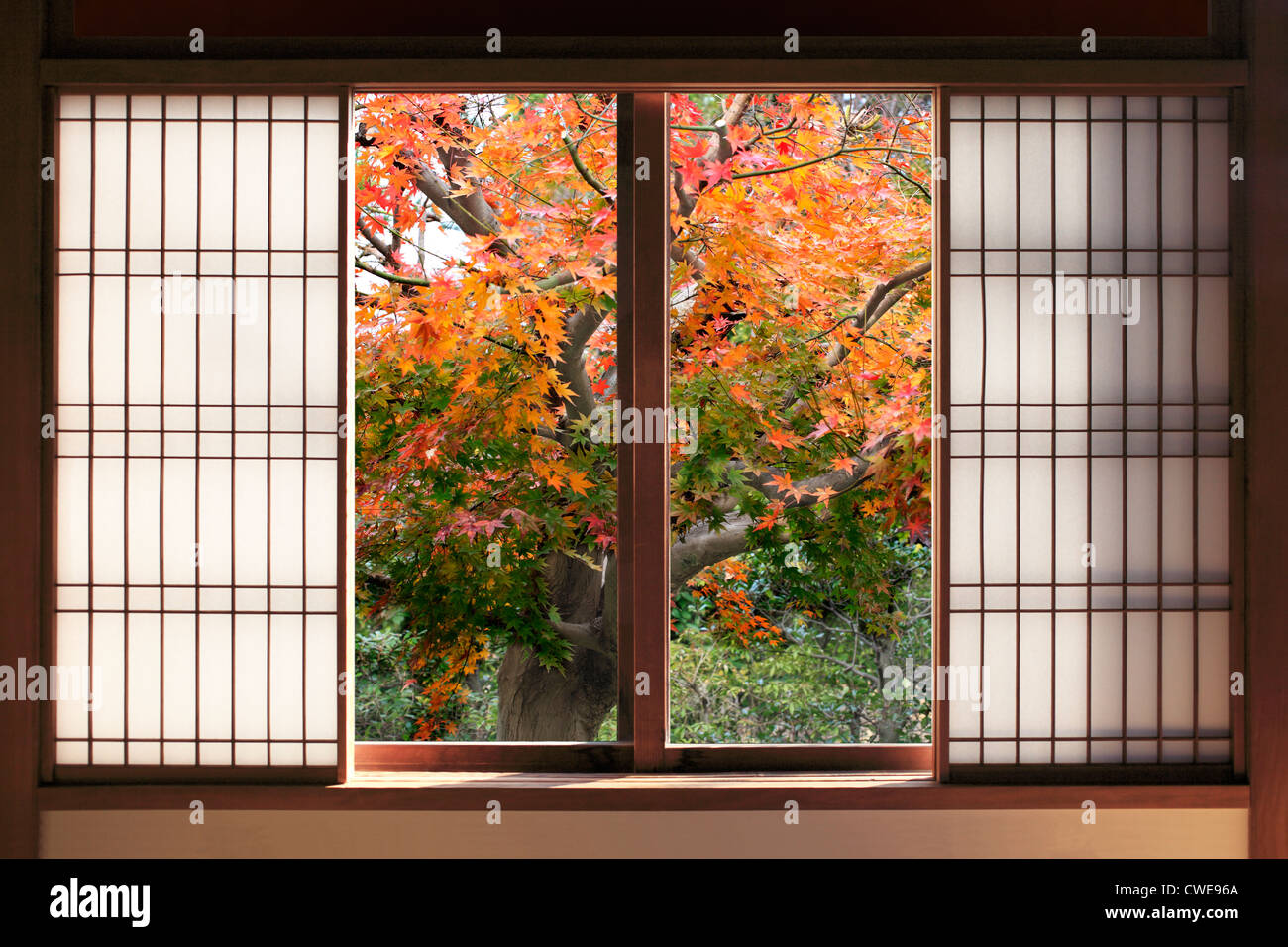 Offene japanische Schiebetür mit Herbst Baum im Hintergrund Stockfoto