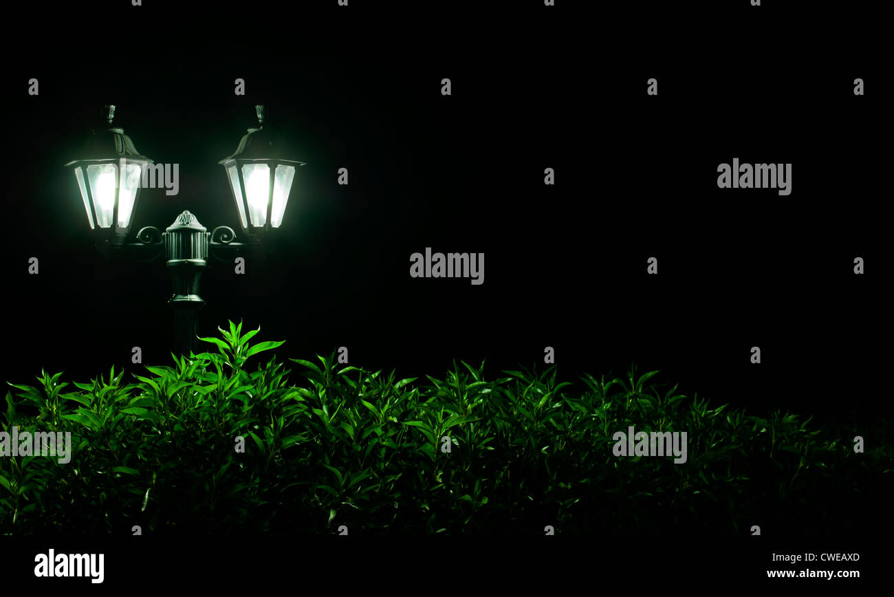 Außenleuchte Night im Park. Nachtlicht Stockfotografie - Alamy