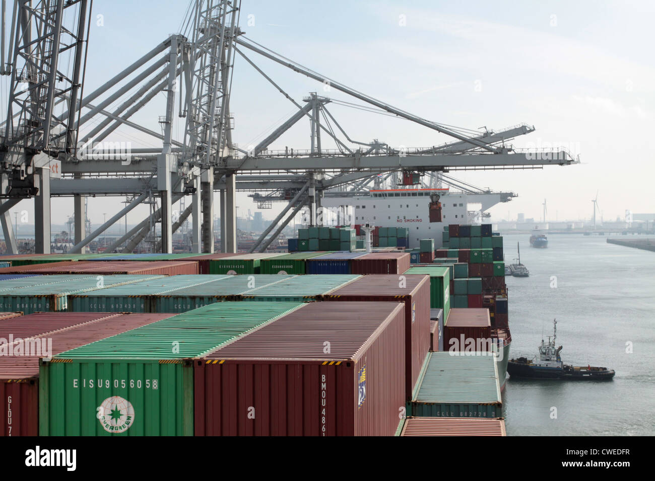 Container gestapelt auf Deck ein großes Containerschiff, Hafen von Rotterdam. Schlepper und Kräne im Hintergrund Stockfoto