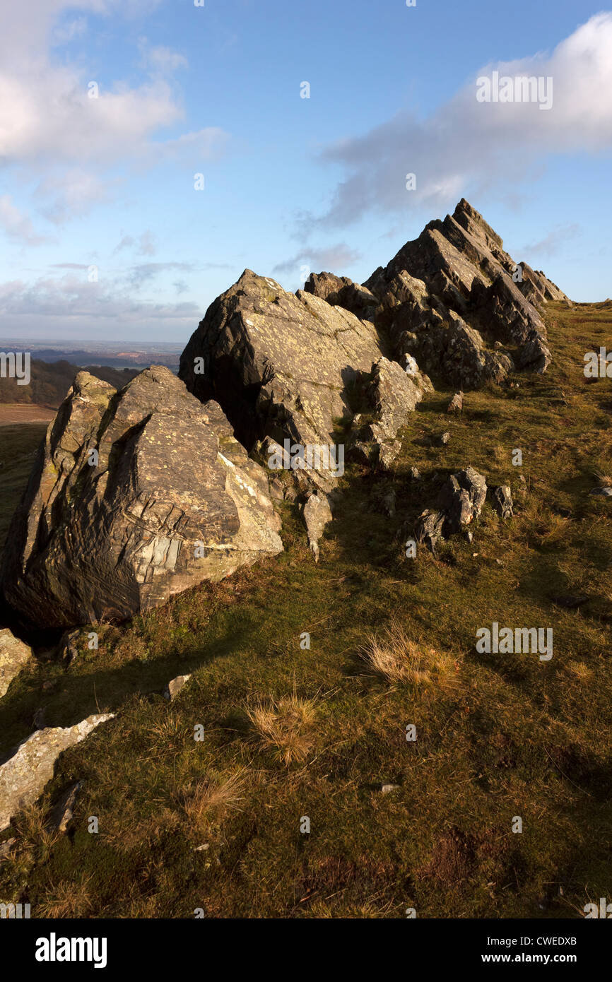 Ausläufer der angeblich ältesten (Präkambrium) rockt in Großbritannien, Bradgate Park Hügel, Leicestershire, England, UK Stockfoto