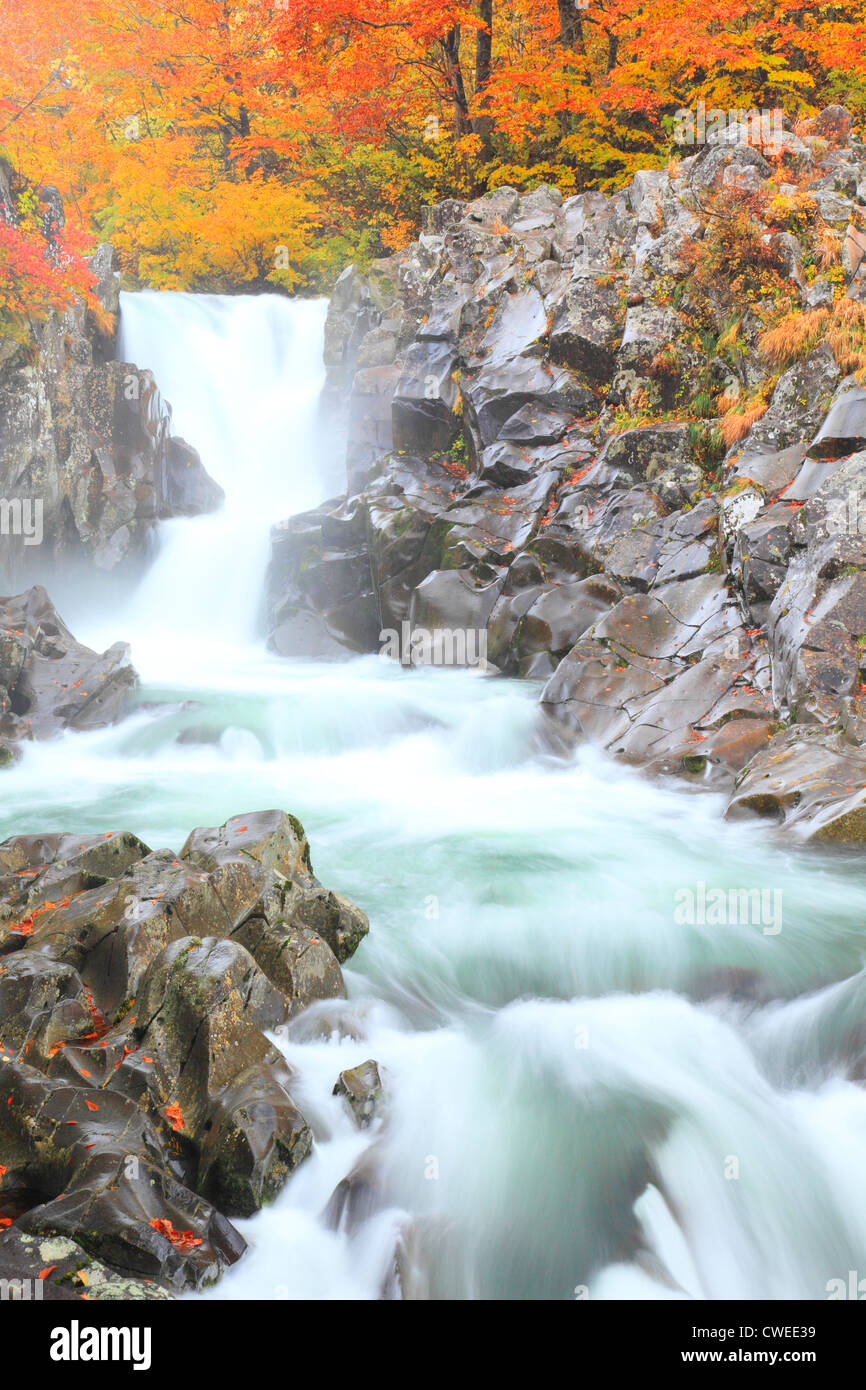 Herbst-Szene Wasserfall und Bäume Stockfoto