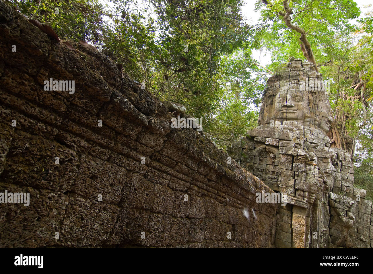 Horizontale Ansicht eines Steins konfrontiert Gopura Eingänge zum Ta Prohm aka Rajavihara oder der Tomb Raider-Tempel in Angkor. Stockfoto