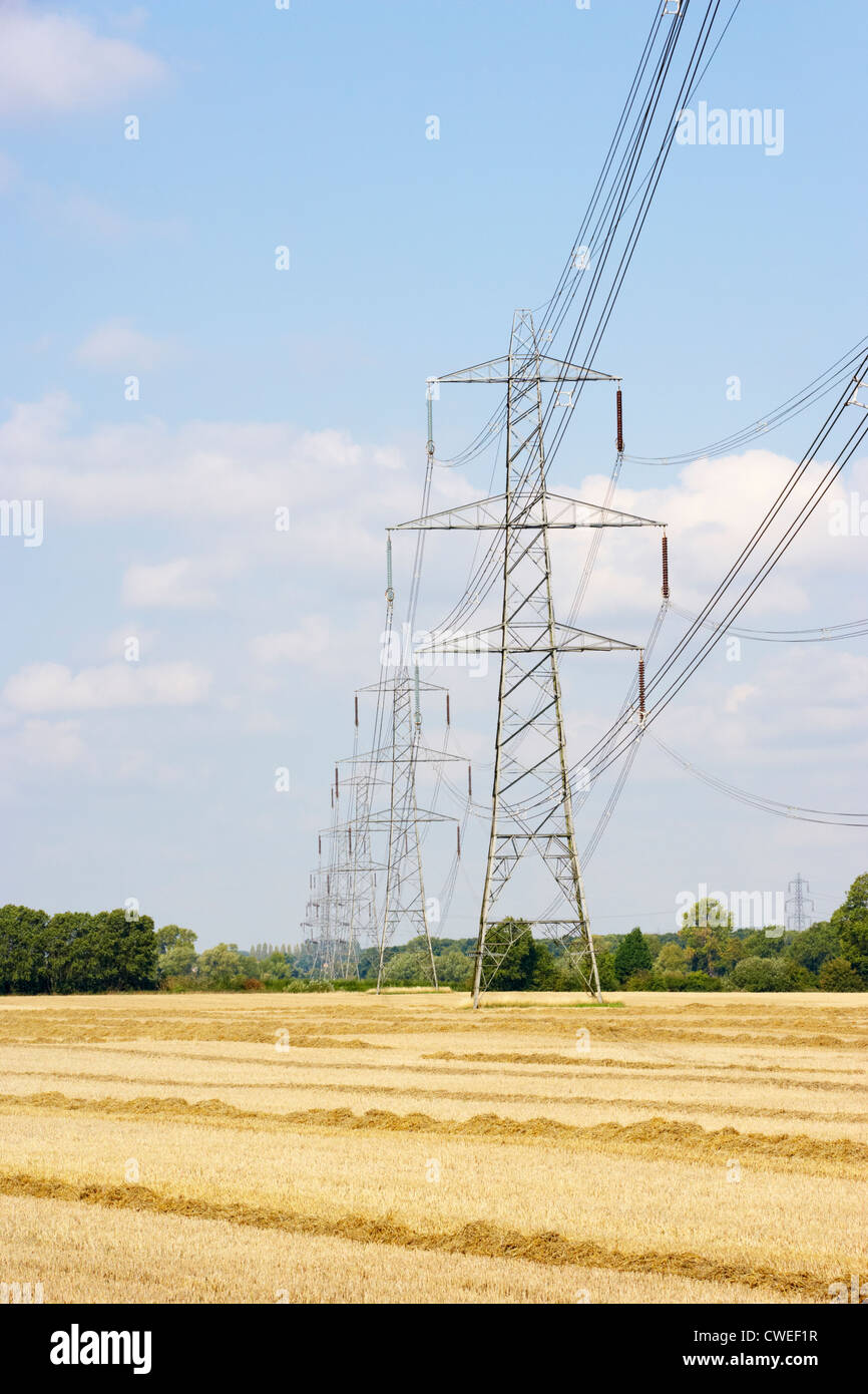 Strommasten in Landschaft Stockfoto