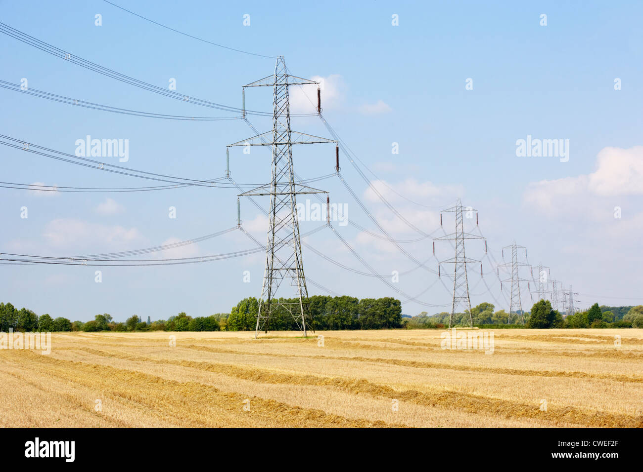 Strommasten in Landschaft Stockfoto