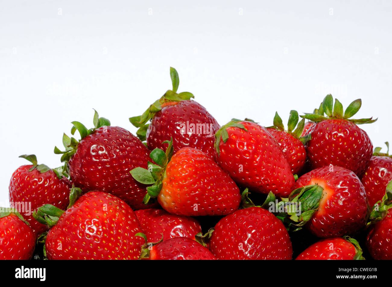 Ganz frische Erdbeeren auf weißem Hintergrund. Stockfoto