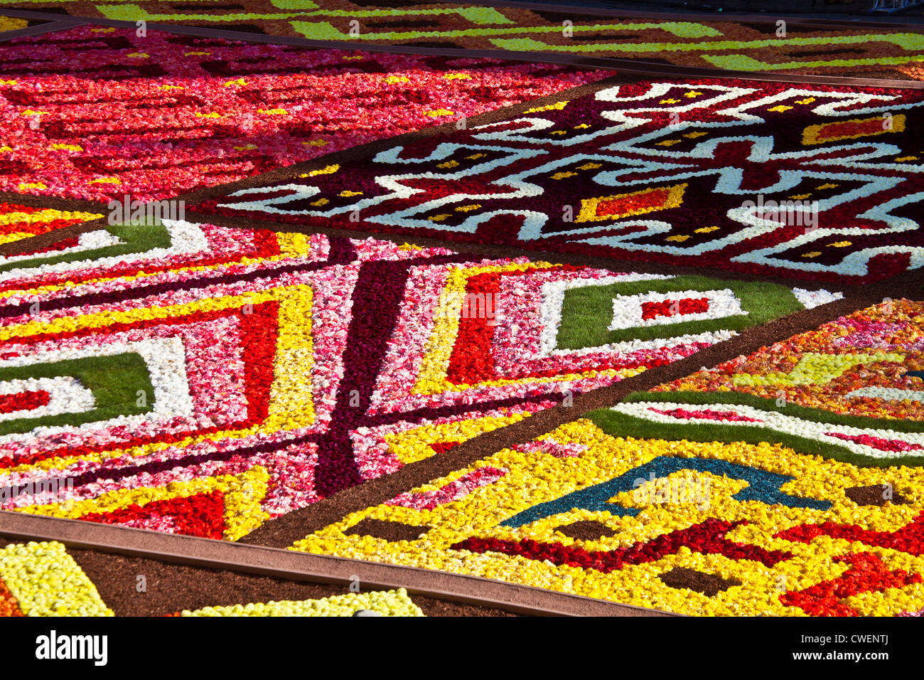 Detail der 2012 Blumenteppich, Tapis de Fleurs auf der Grand-Place, Brüssel Stockfoto