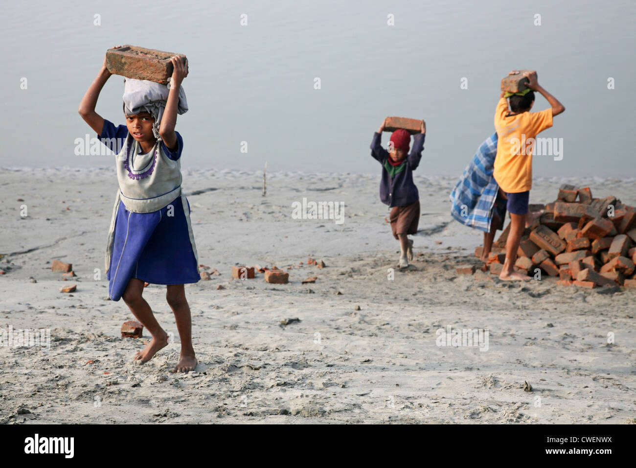 Kinderarbeiter tragen Ziegel tragen auf dem Kopf in Sonakhali, West-Bengalen, Indien am 17. Januar 2009. Stockfoto