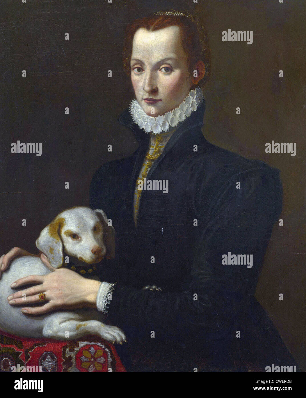 Der italienische Maler Porträt einer Dame mit einem Hund XVI Jahrhundert National Gallery London Stockfoto