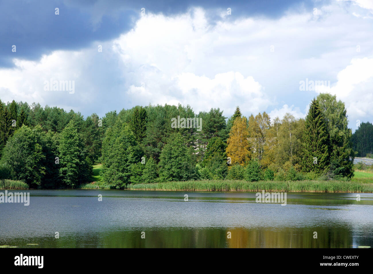 See und Bäumen auf dem Hintergrund des blauen Himmels Stockfoto