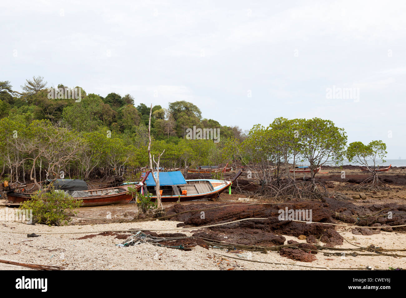 Lange Rute Boote liegen bei Ebbe in den Mangroven (Bulon Insel - Thailand) hoch und trocken Bateaux À Longue Queue À Marée Basse. Stockfoto