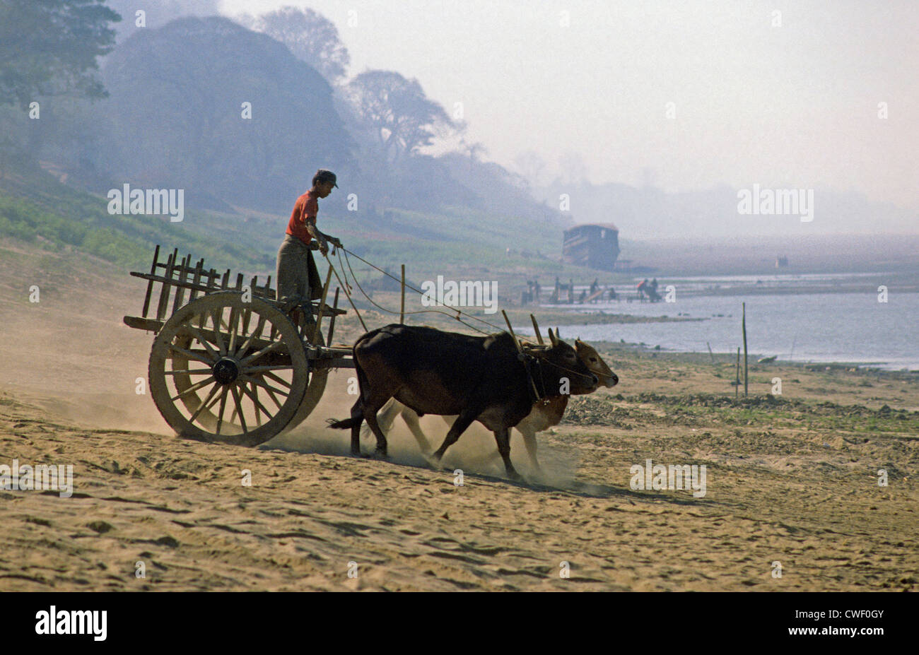 Bullock Cart Ufern des Irrawaddy Flusses Prome Burma Stockfoto