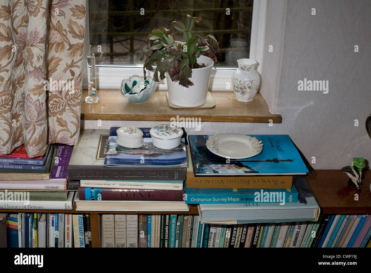 Haufen Bücher auf einem Bücherregal vor einem Fensterbrett zusammen mit anderen Verzierungen Stockfoto