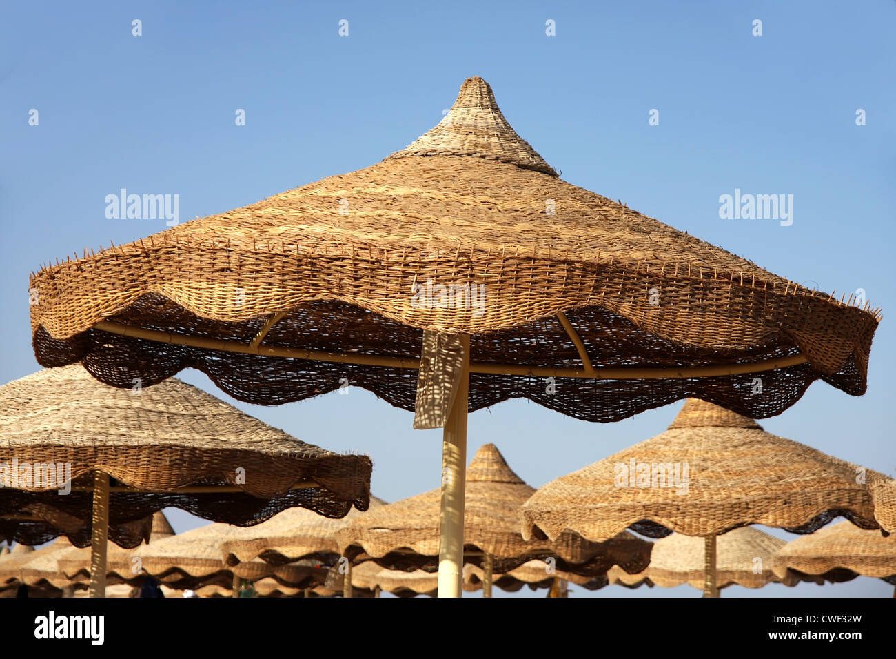 Sonnenschirm Stockfoto