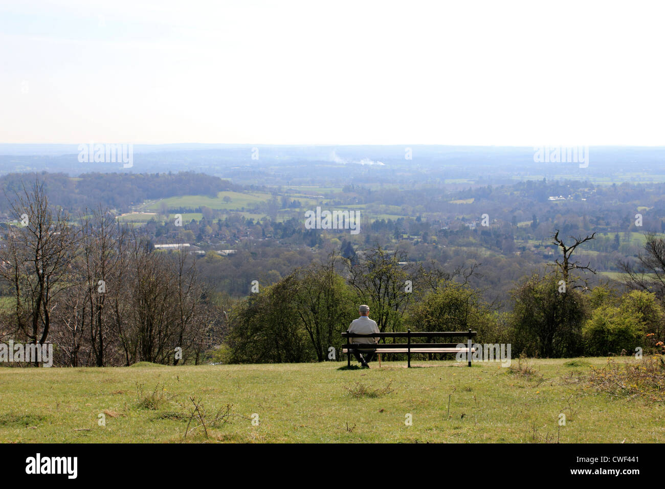 Reigate Hill auf den North Downs, Surrey, England UK Stockfoto