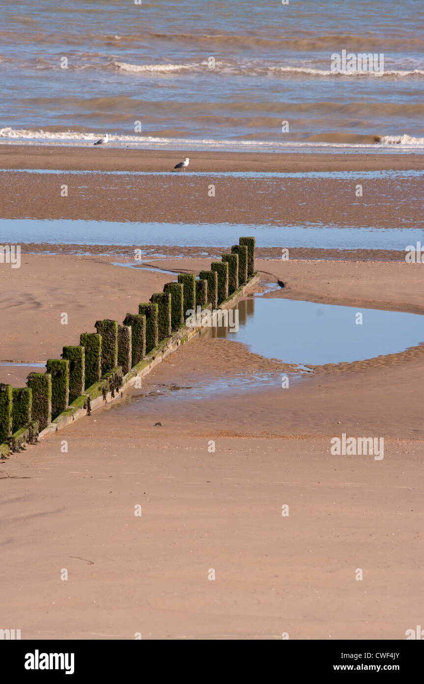 Buhnen auf A verlassenen Sandstrand mit The Tide Out Stockfoto