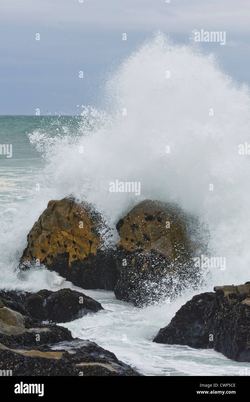 Felsen und vernichtende Wellen, West Coast National Park, Western Cape, Südafrika Stockfoto