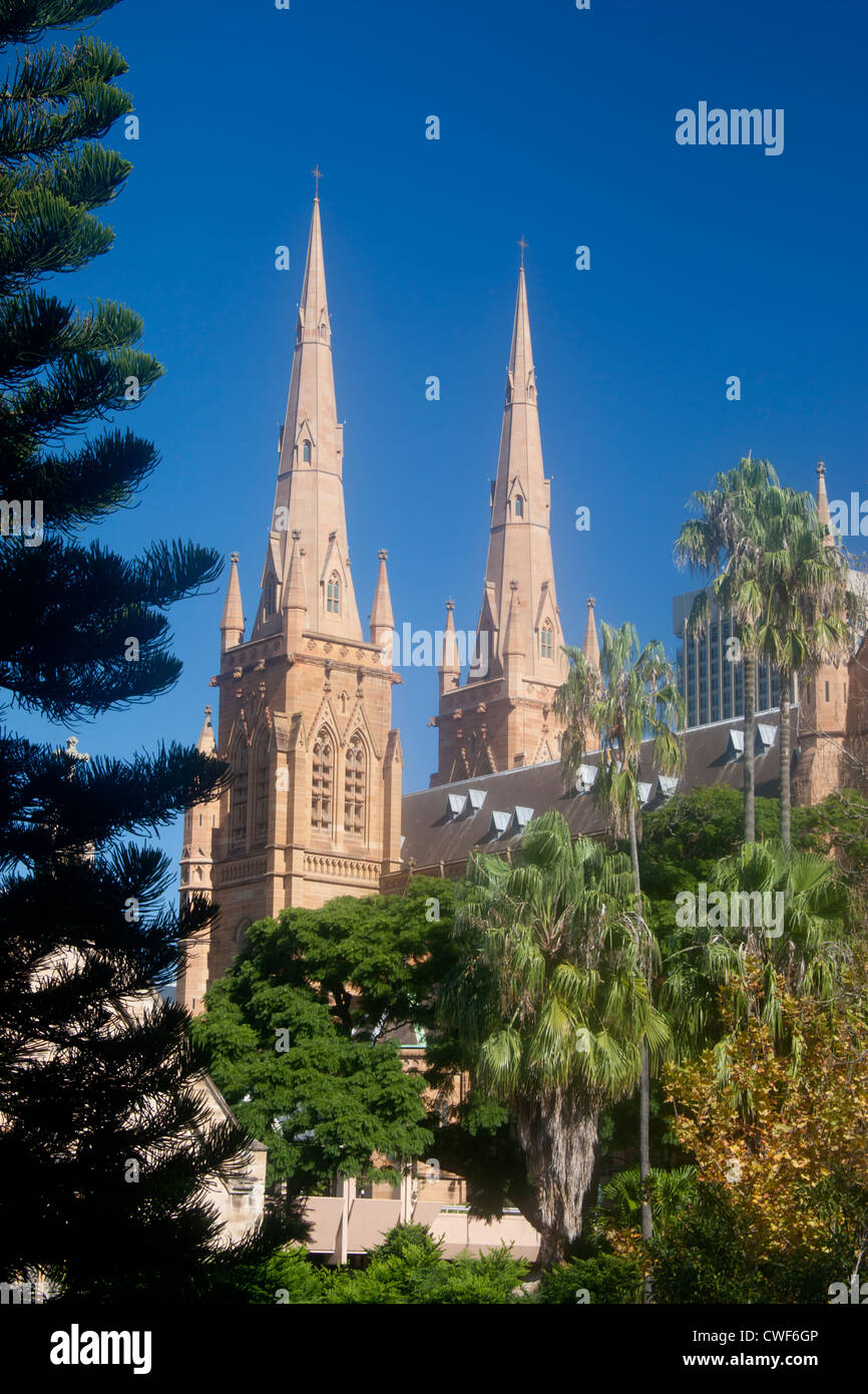 Str. Marys katholische Kathedrale Hyde Park Sydney New South Wales Australien Stockfoto