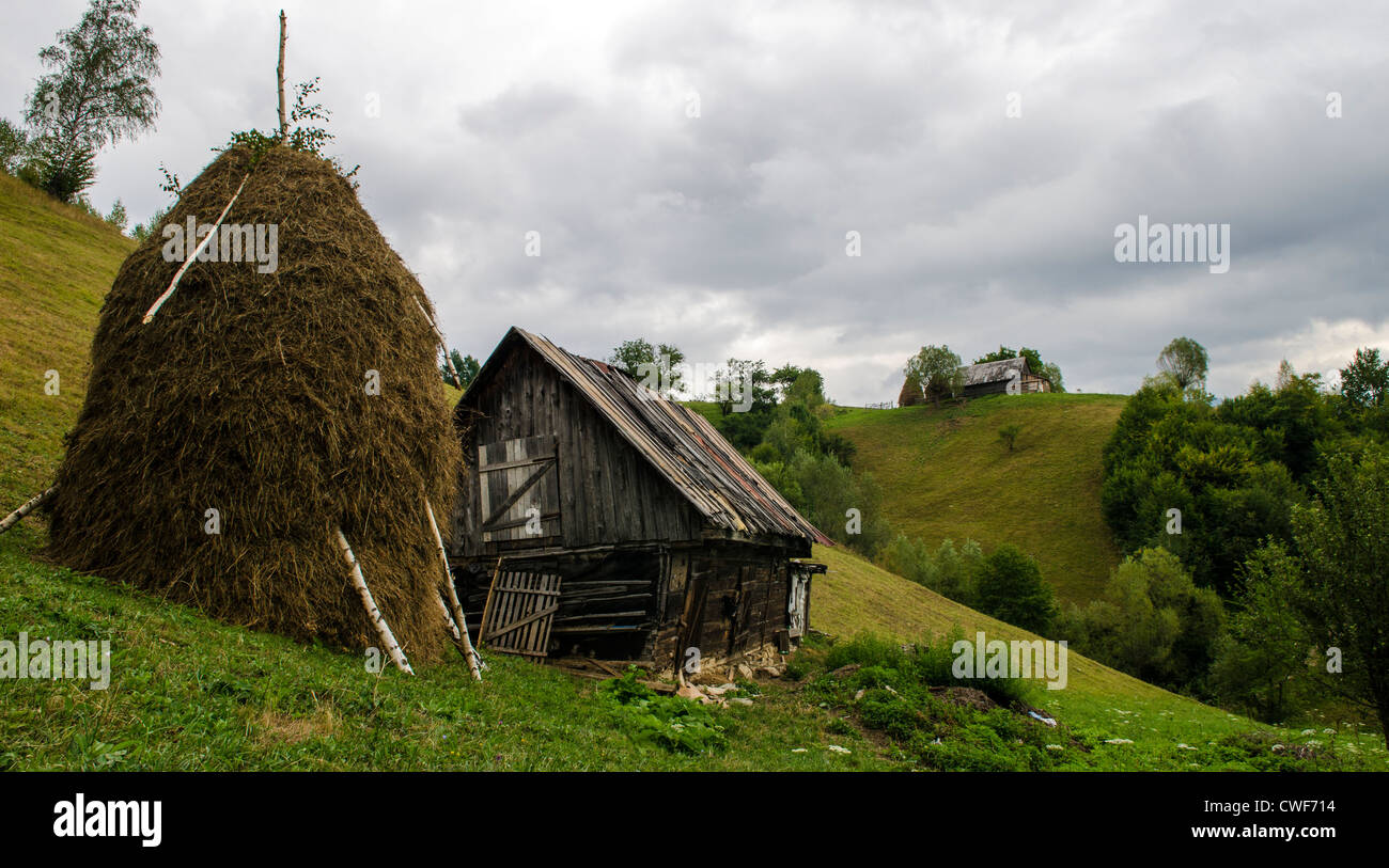 Traditionelle Rick und Feld Scheune in einer siebenbürgischen Bergwiese, Rumänien Stockfoto