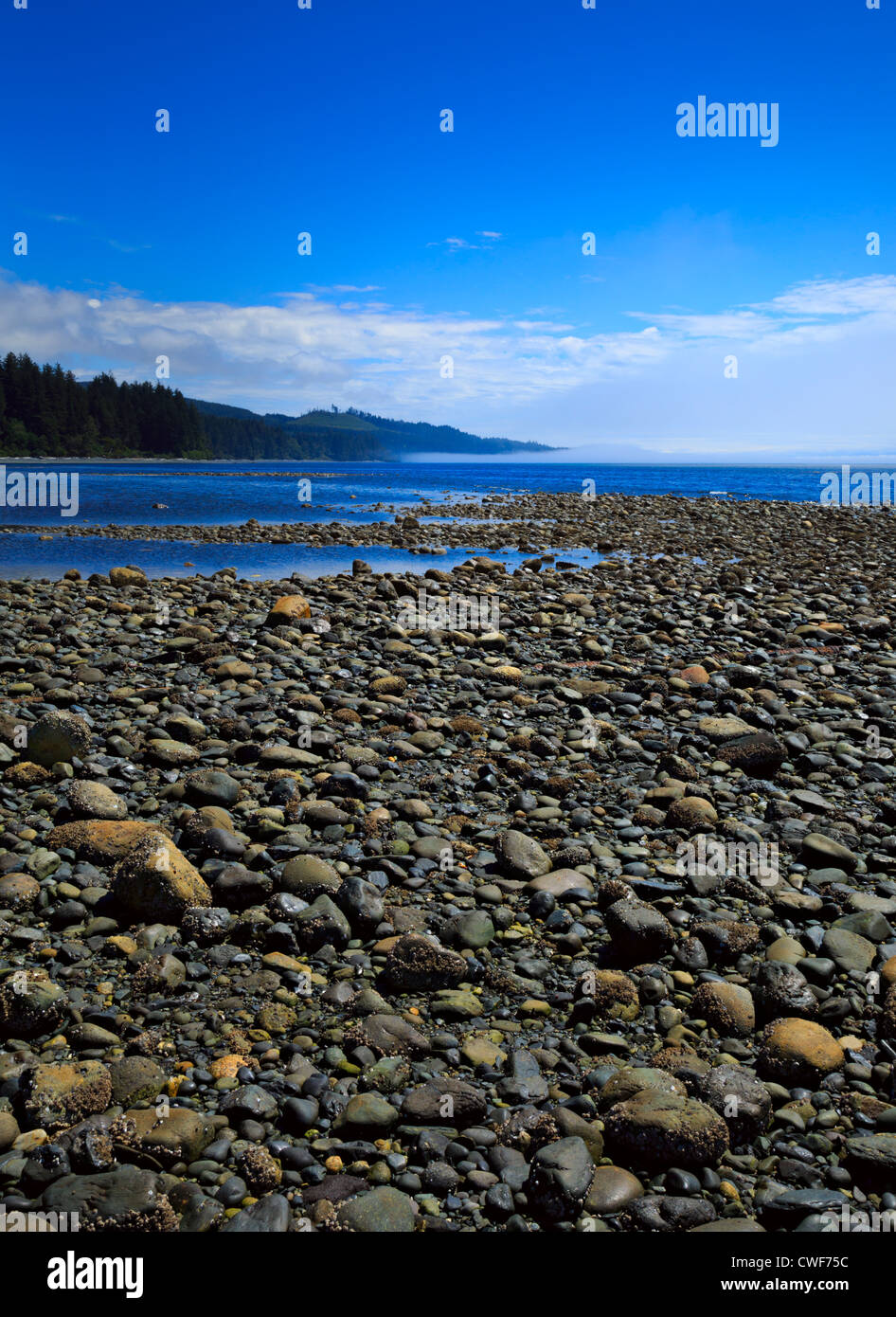 Kiesstrand bei Ebbe. Der Strand am Fluss Jordan, Vancouver Island, bei Ebbe mit Morgennebel am Horizont. Stockfoto