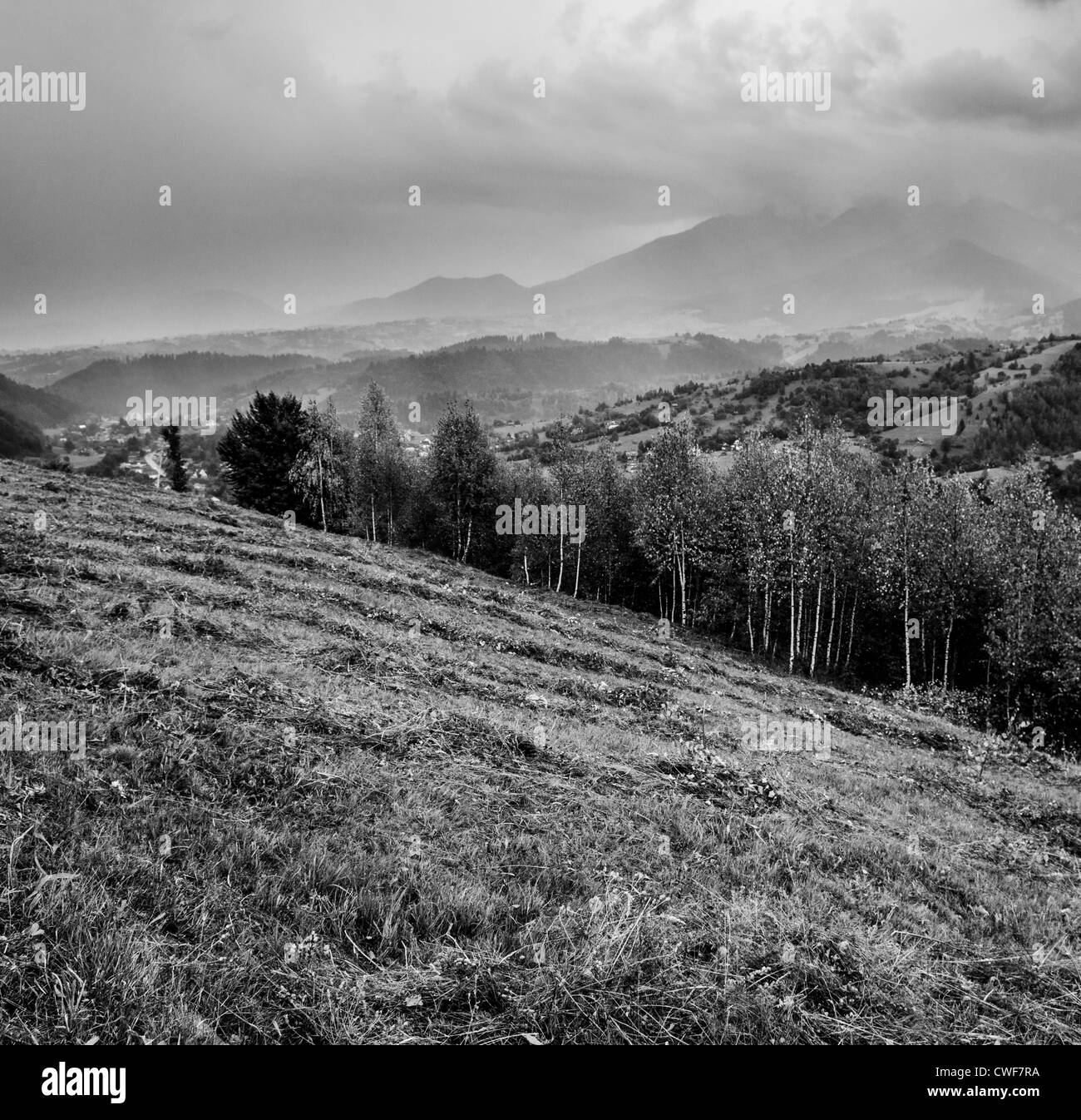 traditionellen Agrarlandschaft und Praxis in Piatra Craiului Nationalpark, Brasov, Siebenbürgen, Rumänien Stockfoto