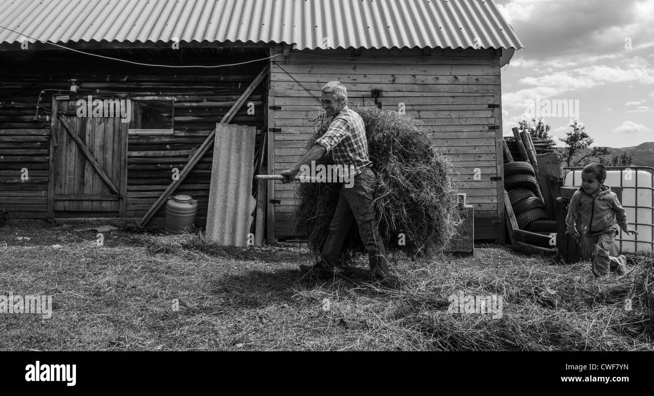 traditionellen Agrarlandschaft und Praxis in Piatra Craiului Nationalpark, Brasov, Siebenbürgen, Rumänien Stockfoto