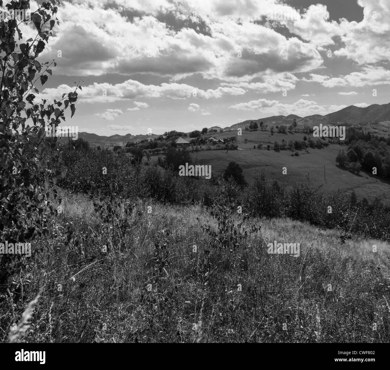 verlassene Wiese in Piatra Craiului Nationalpark, Brasov, Siebenbürgen, Rumänien Stockfoto