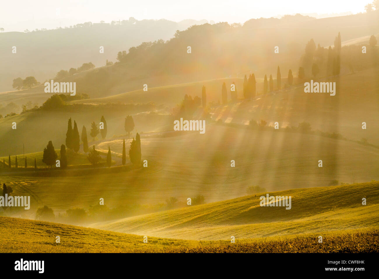 Tuscsan Landschaft, Italien Stockfoto