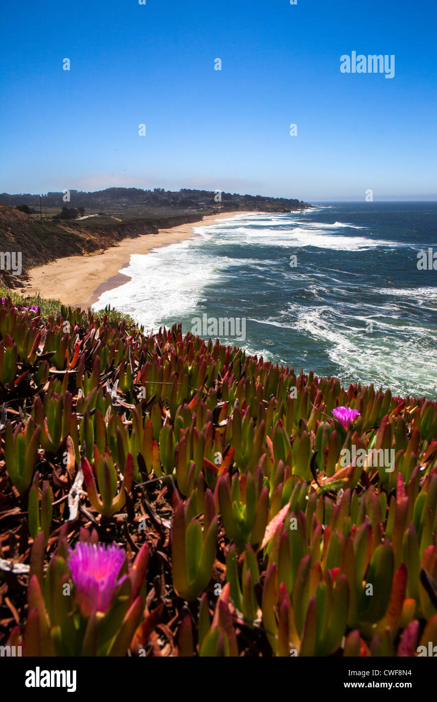 Kalifornische Küste, USA Stockfoto