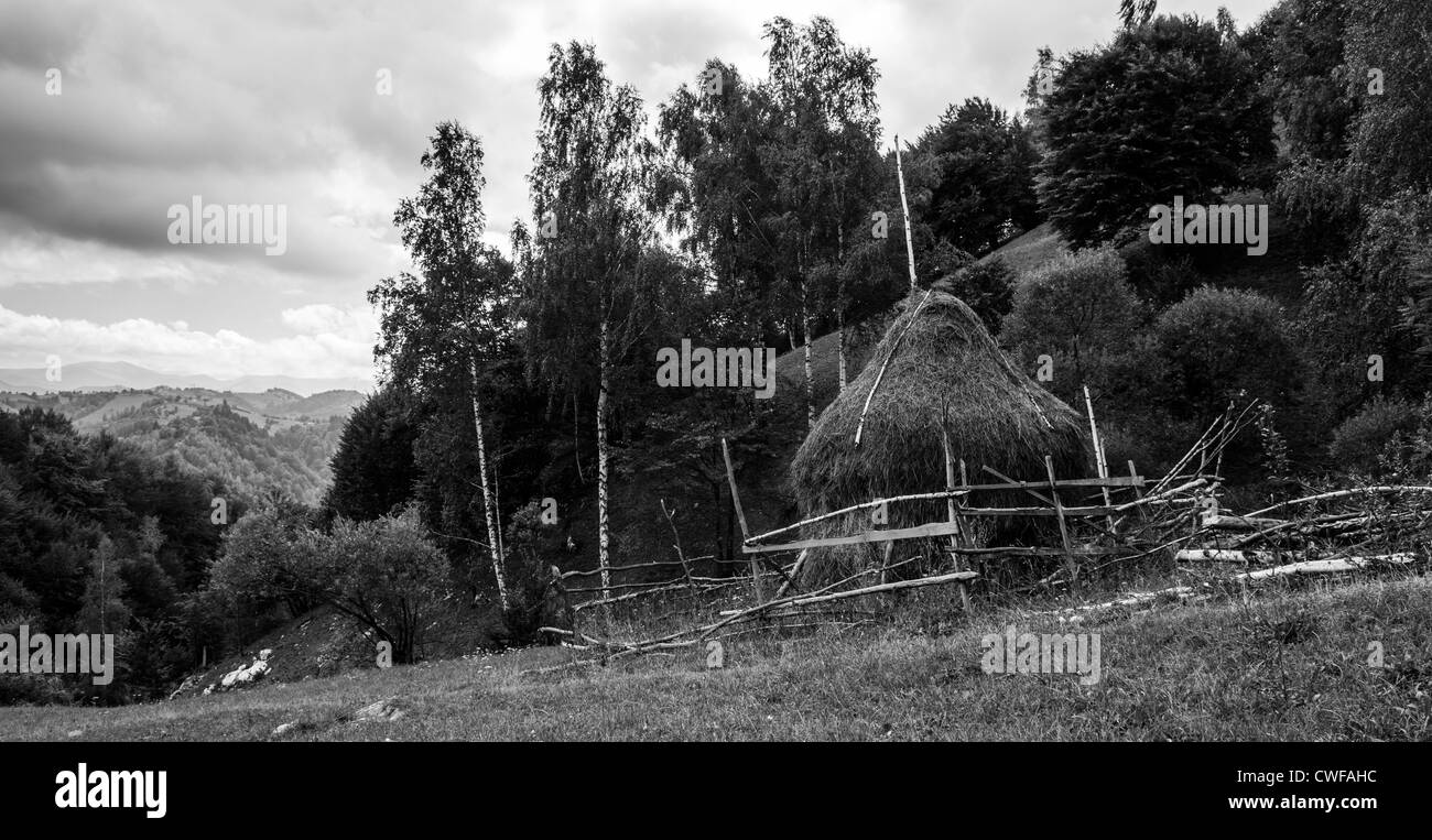 traditionellen Agrarlandschaft und Praxis in Piatra Craiului Nationalpark, Brasov, Siebenbürgen, Rumänien Stockfoto