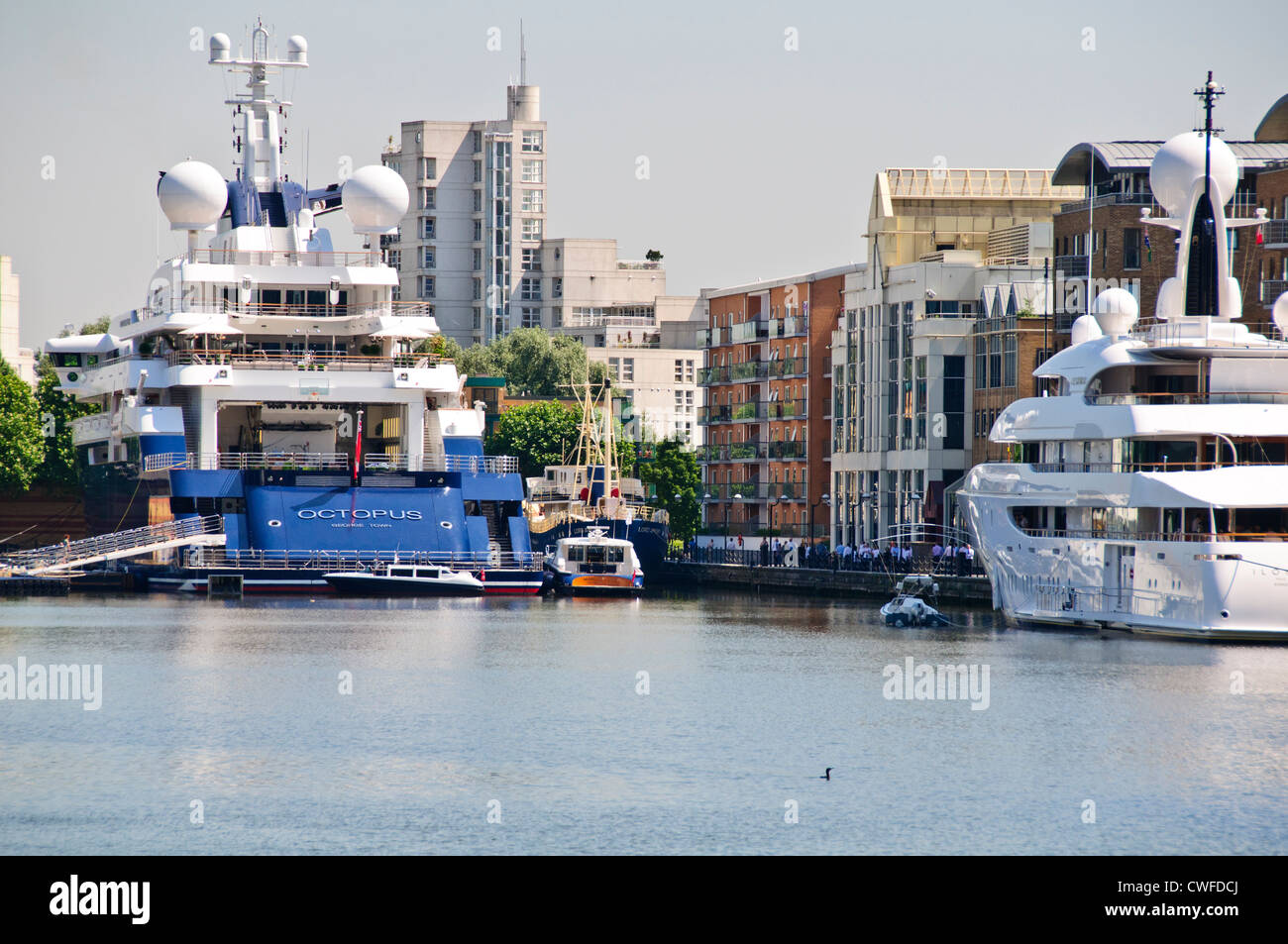 Luxus-Yachten vor Anker in West India Docks, Octopus, die Zugehörigkeit zu Microsoft Billionaire, Canary Wharf Gebäude, London, UK Stockfoto