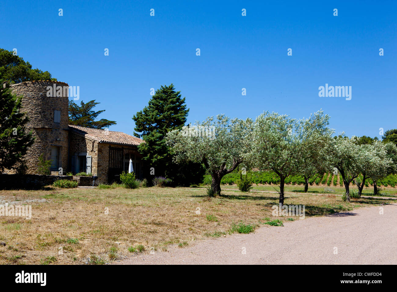 Ein Gästehaus auf einem Weingut in Carcassonne, Südfrankreich Stockfoto