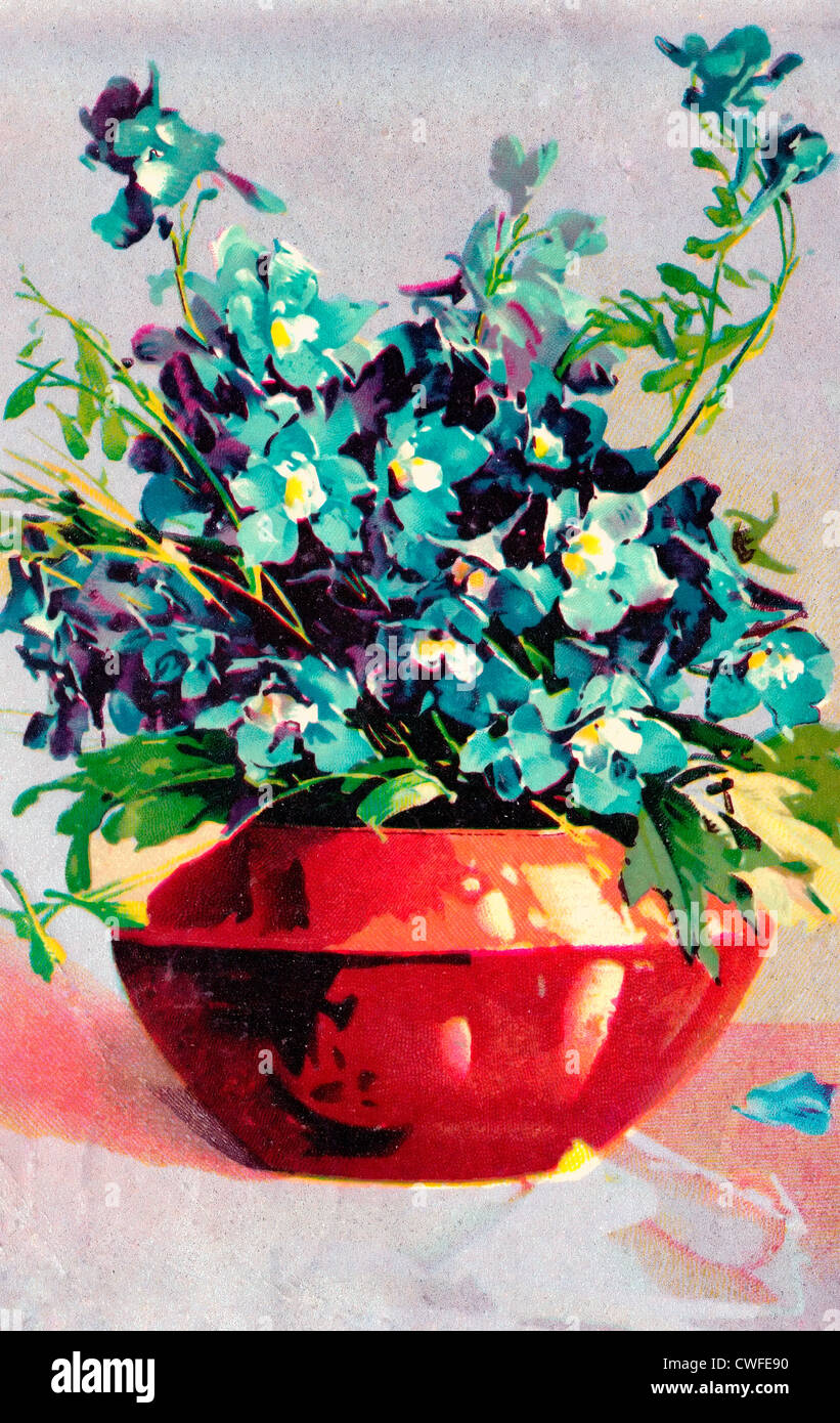 Blumentopf - Stillleben mit Blumen in vase Stockfoto