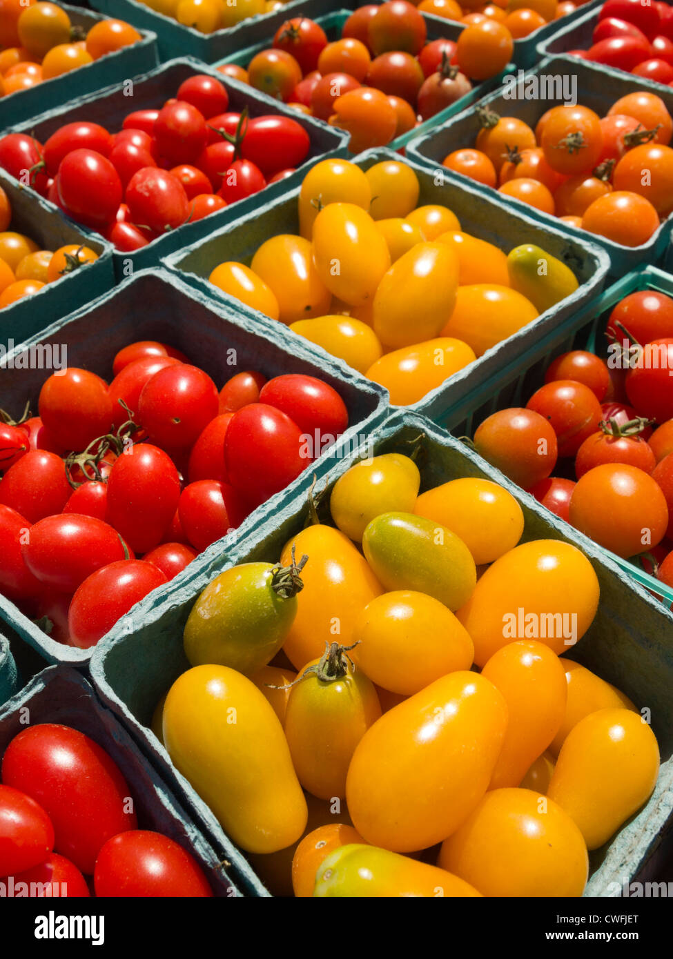 rote und gelbe Cherry Tomaten, Bauernmarkt, Beacon, New York, USA Stockfoto