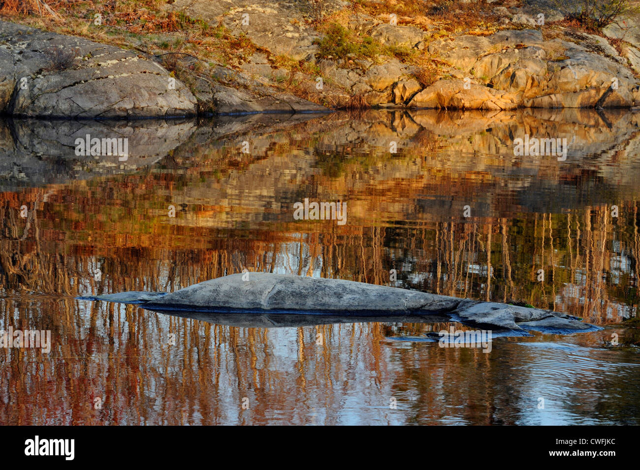 Reflexionen im Fairbank Creek mit Wellen erstellt von Schwimmen Biber, Greater Sudbury, Ontario, Kanada Stockfoto