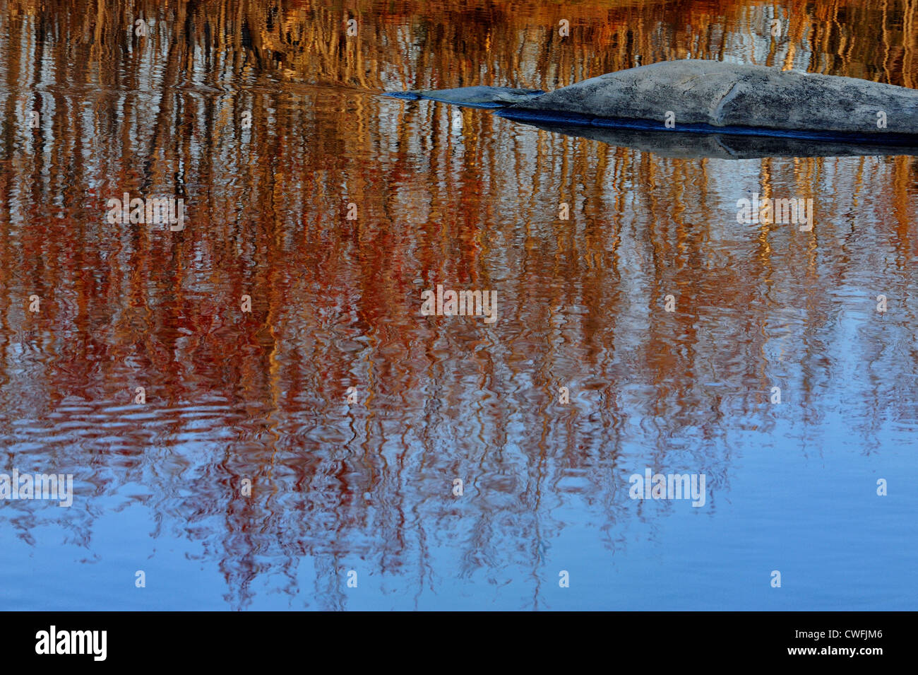 Reflexionen im Fairbank Creek mit Wellen erstellt von Schwimmen Biber, Greater Sudbury, Ontario, Kanada Stockfoto